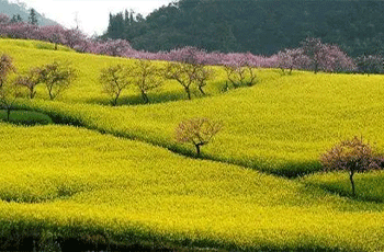 春季皮肤不适，该如何护理？